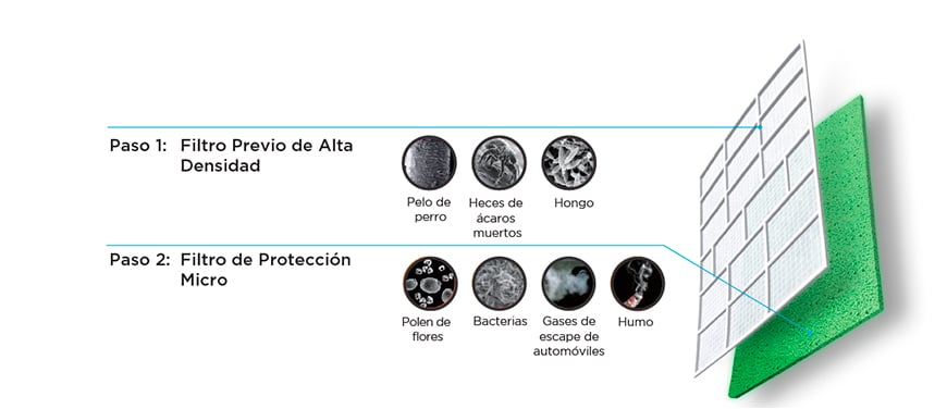 Aire Saludable Garantizado