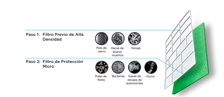 Aire Saludable Garantizado